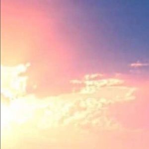 Meet your Posher, Shaden